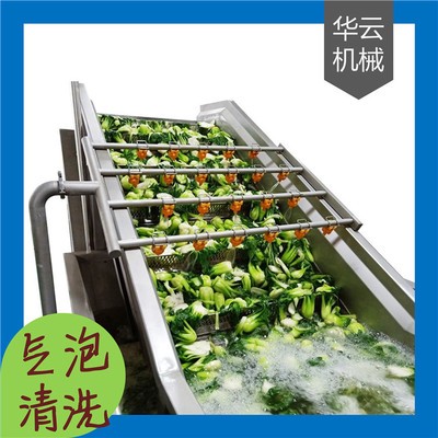 全自動氣泡式果蔬清洗機 高壓噴淋清洗機定制 清洗干凈 效率高