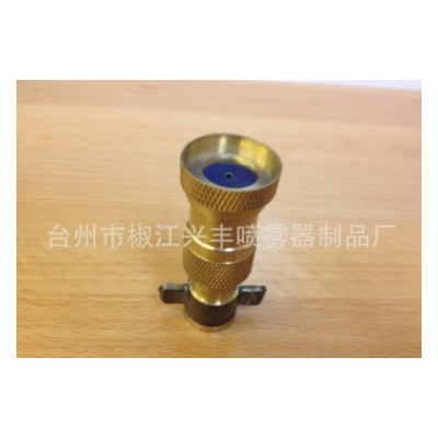 ptt-20噴霧器配件 電動(dòng)噴霧器噴頭 銅單噴頭（小）