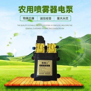 農用打藥隔膜泵 12V智能高壓大功率雙泵 電動噴霧器水泵 架子泵