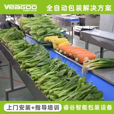 源頭廠家 自動打透氣孔蔬菜包裝機 自動識別物料長短蔬菜包裝機械