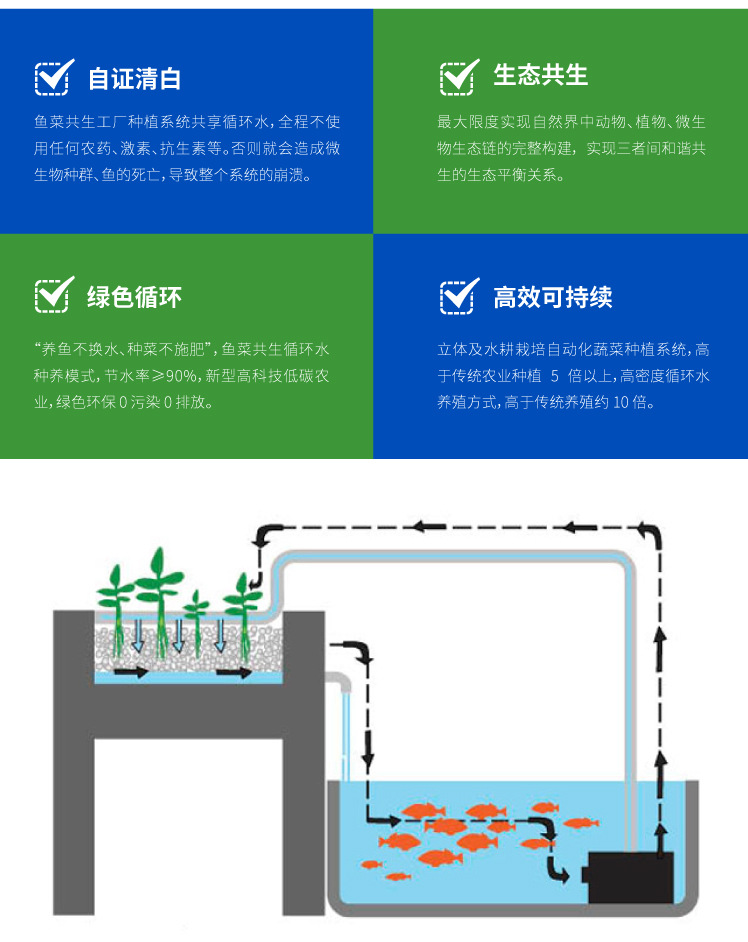 魚菜共生系統