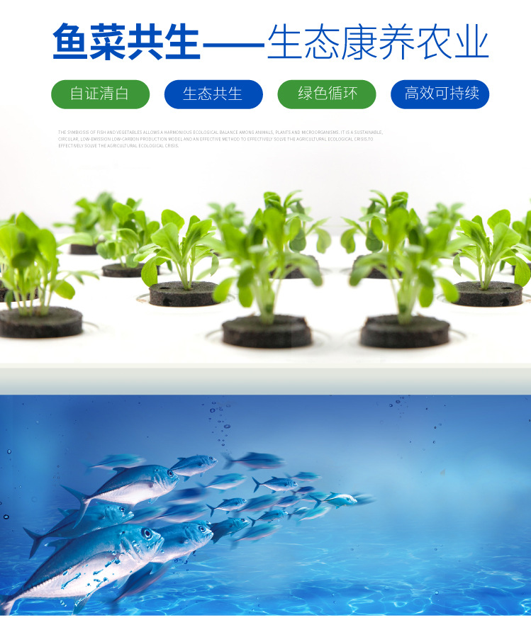 魚菜共生系統