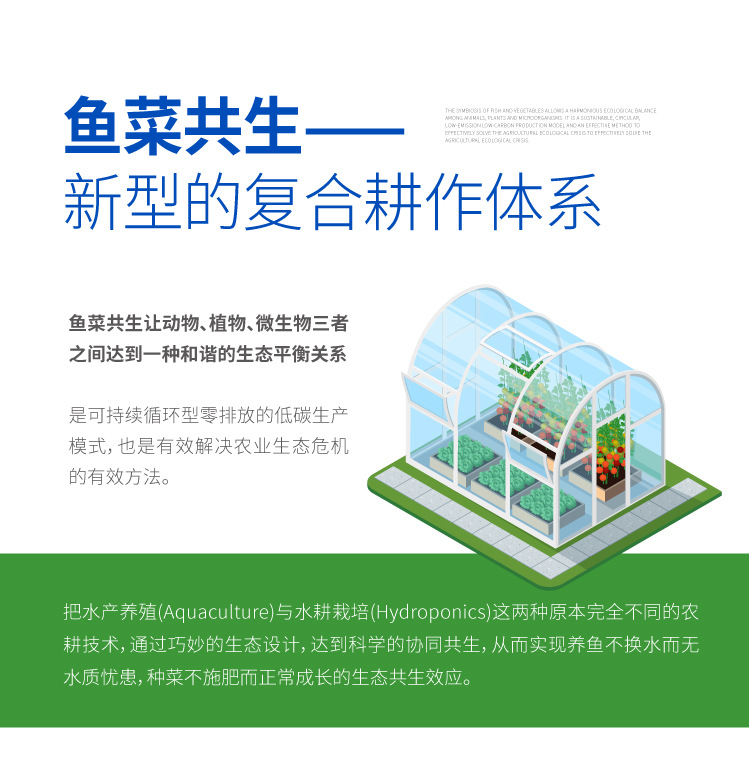 魚菜共生系統