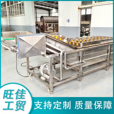 廠(chǎng)家供應(yīng) 韭菜氣泡清洗機(jī) 白菜去泡清洗流水線(xiàn) 不銹鋼清洗設(shè)備