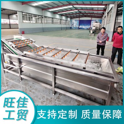 不銹鋼全自動(dòng)果蔬清洗線(xiàn) 高壓氣泡清洗機(jī) 油麥菜金針菇清洗設(shè)備