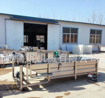 商用果蔬清洗機(jī) 氣泡高壓噴淋清洗機(jī) 百合清洗設(shè)備