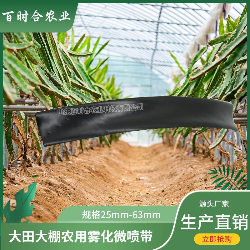 大田大棚農(nóng)用噴灌霧化PE微噴帶山東百時合農(nóng)業(yè)科技有限公司