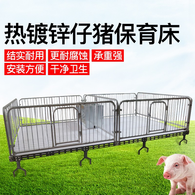 廠家批量生產小豬用鑄鐵保育床塑料漏糞板雙面食槽國標鍍鋅管促銷