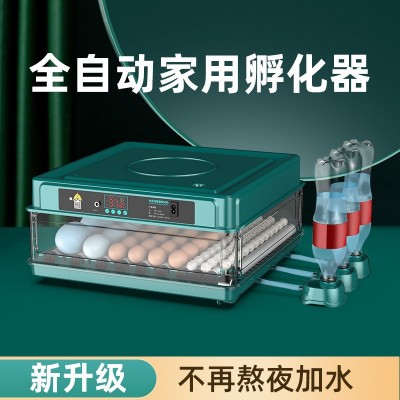 孵化機(jī)全自動智能小雞苗鴨鵝孵化器小型家用孵化箱鴿子鸚鵡孵蛋器