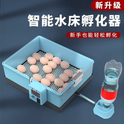 通達(dá)仿生水床孵化機(jī) 家用型20枚孵化器迷你泡沫水床 全自動孵蛋器