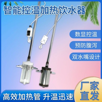 仔豬恒溫加熱飲水器自動恒溫自動加熱熱水器養豬設備產床保育床