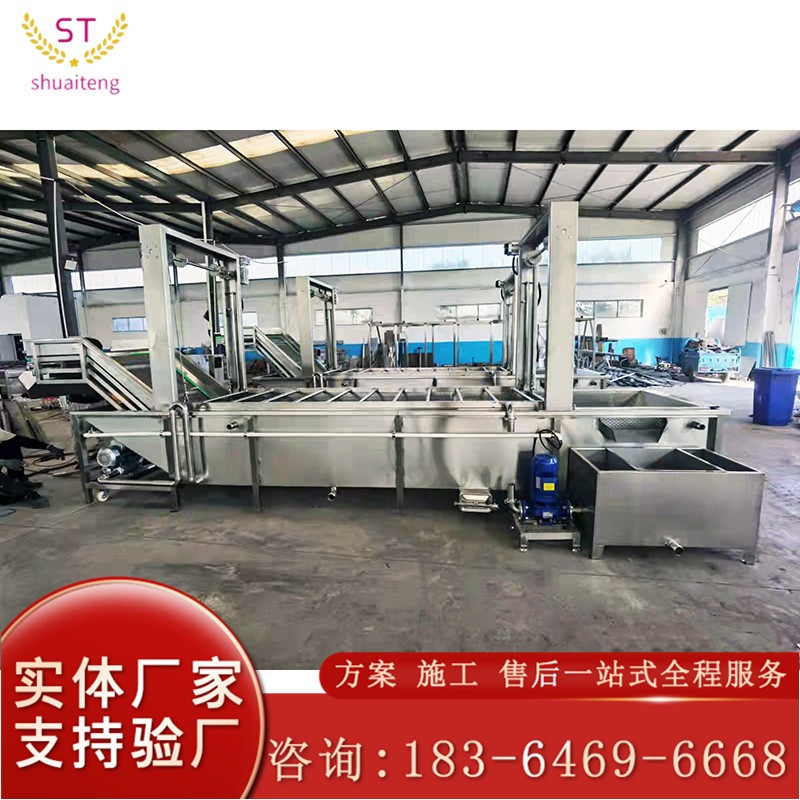 廠家直供提升式果蔬氣泡清洗機(jī) 魚(yú)腥草龍須菜清洗機(jī) 蔬菜清洗設(shè)備