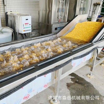 水果玉米全自動蒸煮機(jī)漂燙機(jī) 海鮮食品蒸煮冷卻線中藥材蒸煮機(jī)