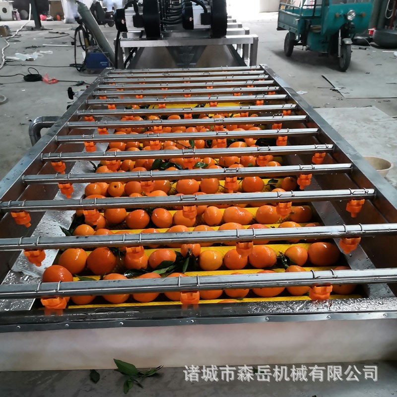 廠家全自動水果清洗打蠟機(jī)拋光機(jī) 橘子沃柑洗果機(jī)