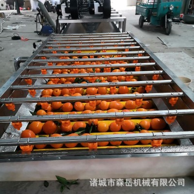 廠家全自動水果清洗打蠟機(jī)拋光機(jī) 橘子沃柑洗果機(jī)