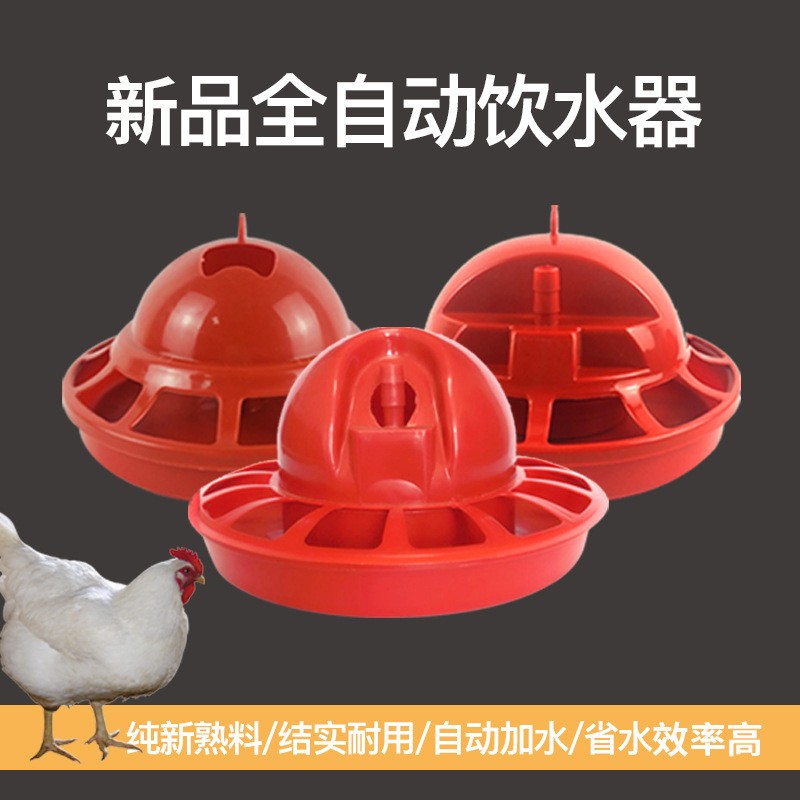 廠家批發自動雞用飲水器 喂水器鳥水壺水桶 雞飲水器貼牌