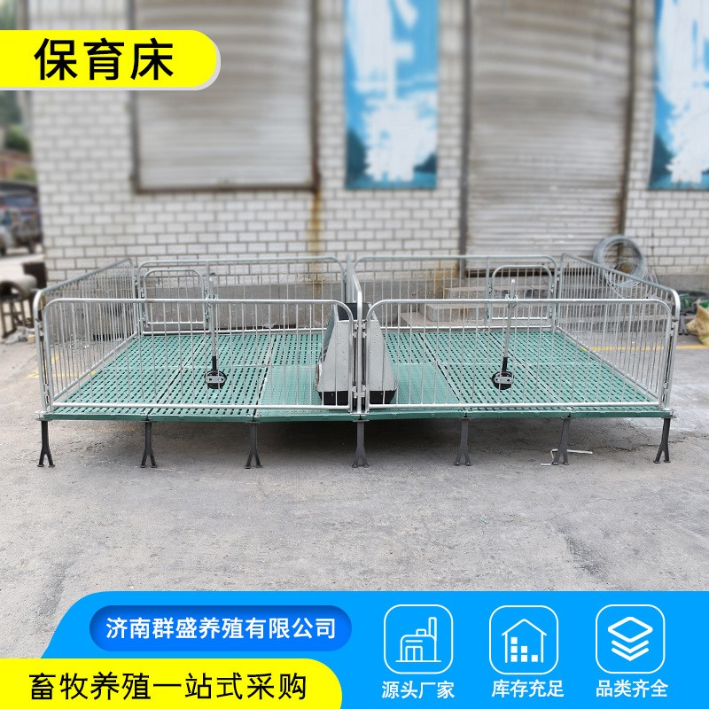 包郵國標鍍鋅保育床 加厚加重帶電熱板仔豬育雛床產床保育欄現貨