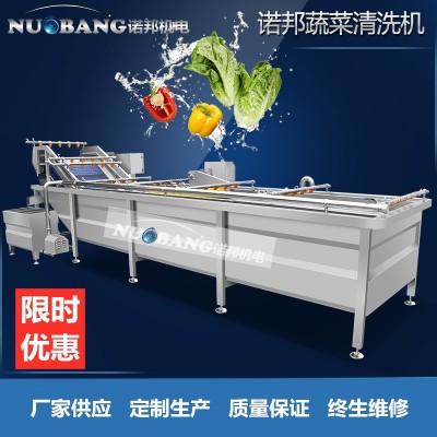 廠家銷售檸檬片清洗機(jī) 全自動(dòng)氣泡噴淋果蔬清洗機(jī) 藍(lán)莓果洗果機(jī)