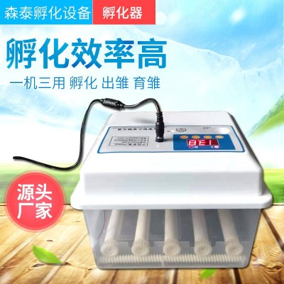 批發孵化機 小型全自動智能家用迷你孵蛋器雞鴨鵝鴿子incubator