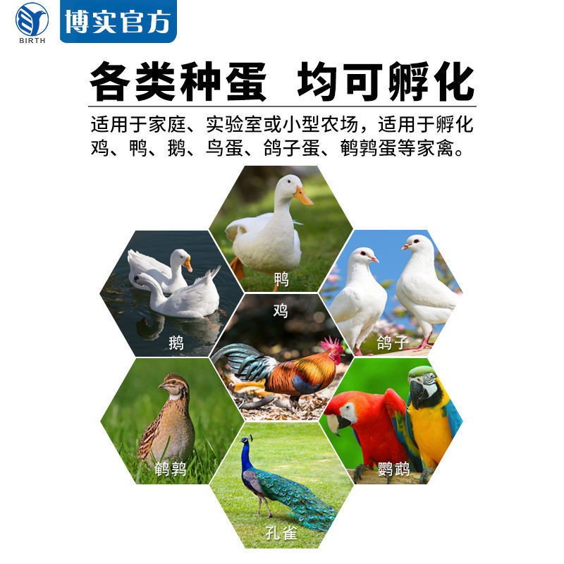 定制智能家用型自動孵蛋器 雞蛋孵化器 鴨 鵝 鴿 鵪鶉 山雞孵卵器