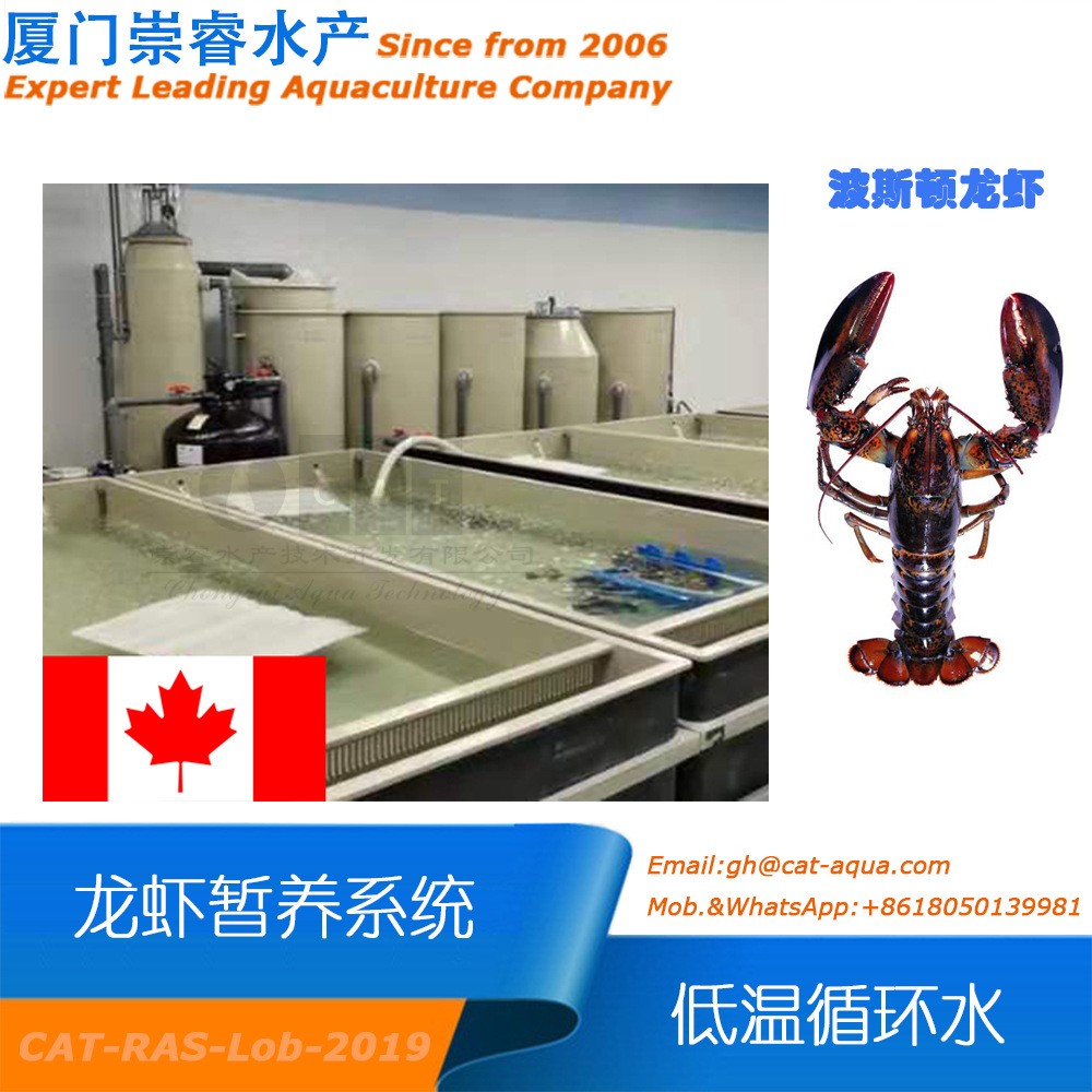 加拿大工廠(chǎng)化室內(nèi)循環(huán)水龍蝦低溫暫養(yǎng)項(xiàng)目循環(huán)水產(chǎn)養(yǎng)殖水處理設(shè)備