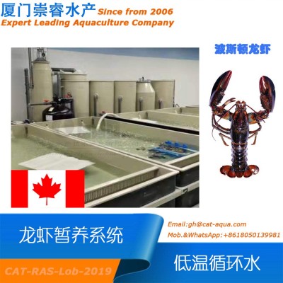 加拿大工廠化室內循環水龍蝦低溫暫養項目循環水產養殖水處理設備