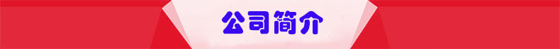 公司簡介