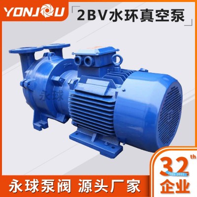 2BV水環式真空泵循環水真空泵真空泵機組廠家直銷