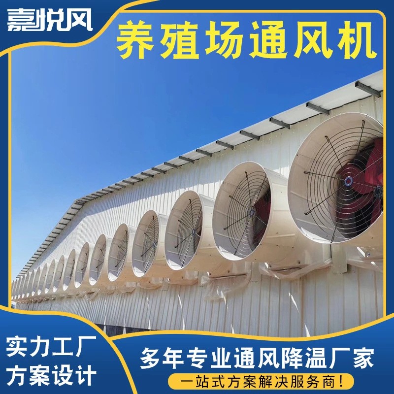 養(yǎng)殖場降溫通風工程 包安裝飼養(yǎng)基地降溫玻璃鋼喇叭型負壓通風機