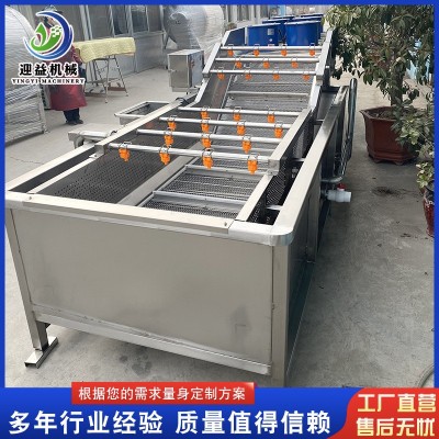 多功能鮮花椒清洗設備 預制菜氣泡清洗機 檸檬果蔬清洗機設備