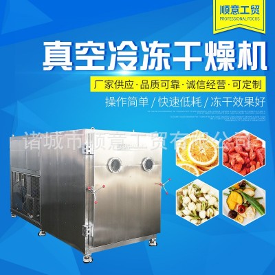 真空凍干機商用 寵物食品真空冷凍干燥機 果蔬藥材大型凍干設備