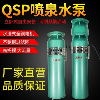 QSP鑄鐵噴泉泵不銹鋼小區景觀音樂噴泉潛水泵QSP噴泉專用潛水泵