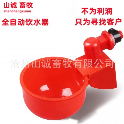 新型雞鴨鵝自動飲水碗飲水器喂鴿子水碗鳥飲水器鵪鶉家禽養(yǎng)殖設備