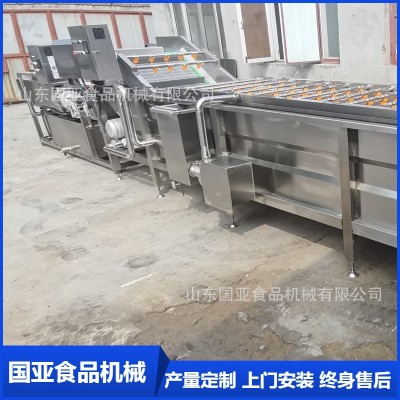 全自動小龍蝦氣泡清洗機(jī) 大姜清洗機(jī) 果蔬高壓噴淋凈菜設(shè)備