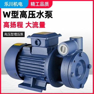 廠家批發(fā)W型直聯(lián)式臥式漩渦泵管道增壓泵高壓泵鍋爐給水補(bǔ)水泵