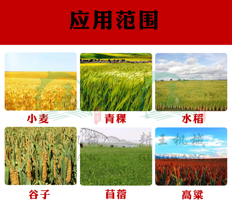 應用