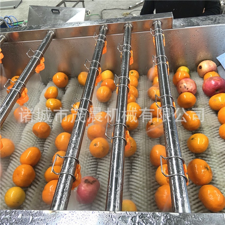 干棗紅棗臍橙清洗機 毛刷噴淋果蔬清洗機 大型自動洗果風干線廠家