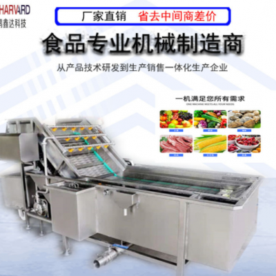 罐頭廠旋流清洗機供應(yīng) 蘋果橘子洗果機 食品廠加工生產(chǎn)流水線