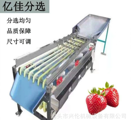 檳郎分級機(jī)冬棗篩選機(jī)橄欖分揀機(jī)山楂篩果機(jī)獼猴桃分選機(jī)