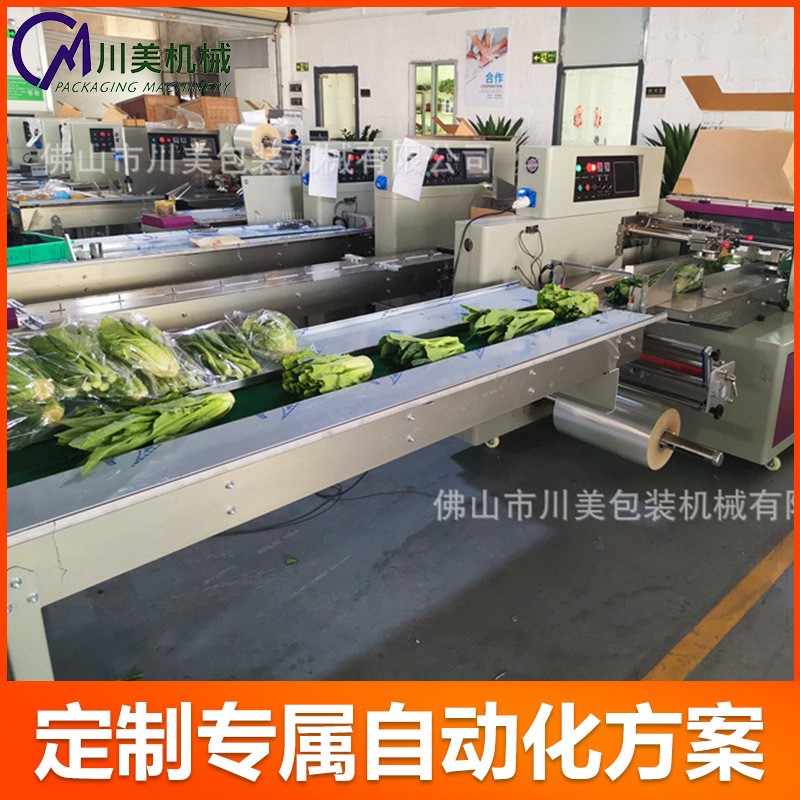 全自動(dòng)青菜包裝機(jī)水果蔬菜封口打包機(jī)蓮藕玉米自動(dòng)套袋枕式包裝機(jī)