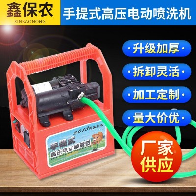 手提式高壓電動噴洗機(jī) 雙泵打藥機(jī) 園林智能大功率手提農(nóng)用噴霧器