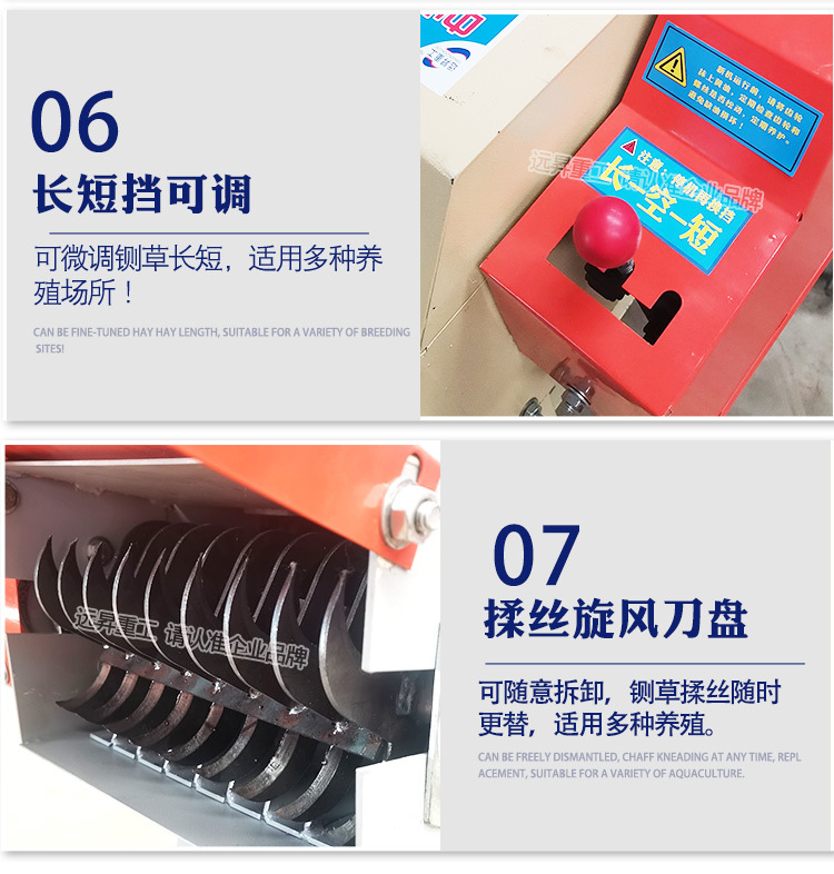 綠色_05.jpg