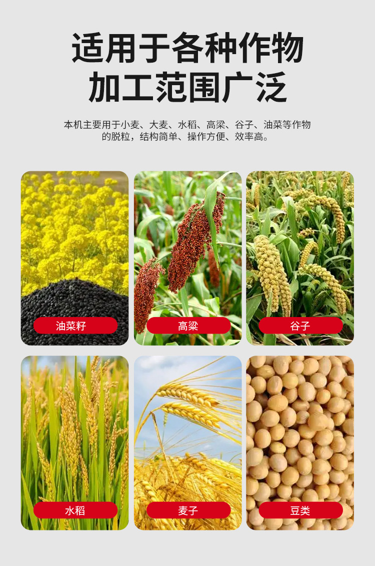 詳情_08.jpg