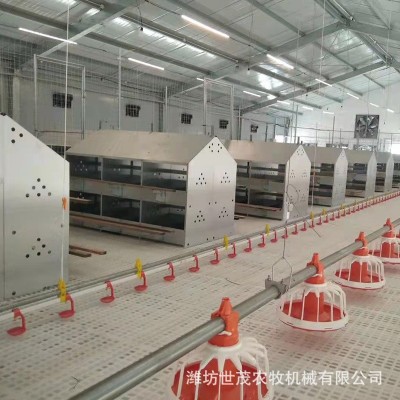 新型自動養(yǎng)殖設備產蛋箱產蛋窩 鍍鋅板母雞產蛋箱禽類集蛋窩雞窩