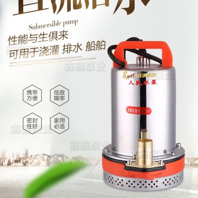 家用12V24V48V60V72伏直流潛水泵農(nóng)用電瓶抽水機(jī)高揚(yáng)程電動(dòng)車水泵