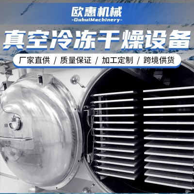 定制蔬菜水果肉類冷凍干燥設(shè)備 自動化真空凍干機器凍干機冷干機