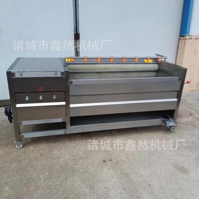全自動土豆去皮清洗機胡蘿卜毛輥清洗設(shè)備蓮藕去皮清洗機