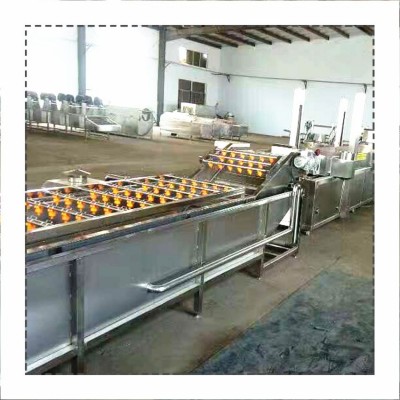 廠(chǎng)家生產(chǎn)果蔬清洗機(jī) 桑葉清洗機(jī) 大白菜辣椒氣泡噴淋清洗機(jī)