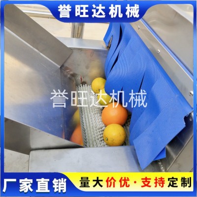 山竹橙子清洗機(jī) 自動(dòng)鼓泡水果清洗機(jī) 小型打蠟分級(jí)風(fēng)干洗臍橙機(jī)