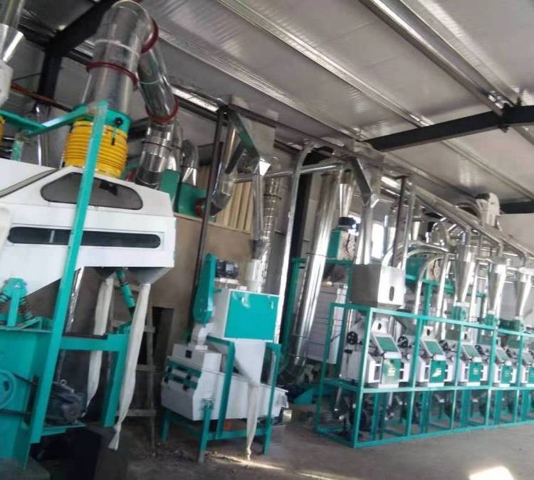 中小型面粉加工成套機械全自動小麥磨粉機械設(shè)備流水線